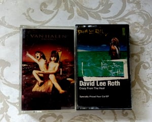 This is the Avatar Image for the David Lee Roth (Van Halen) - 32000 AI Voice and Text to Speech Generator